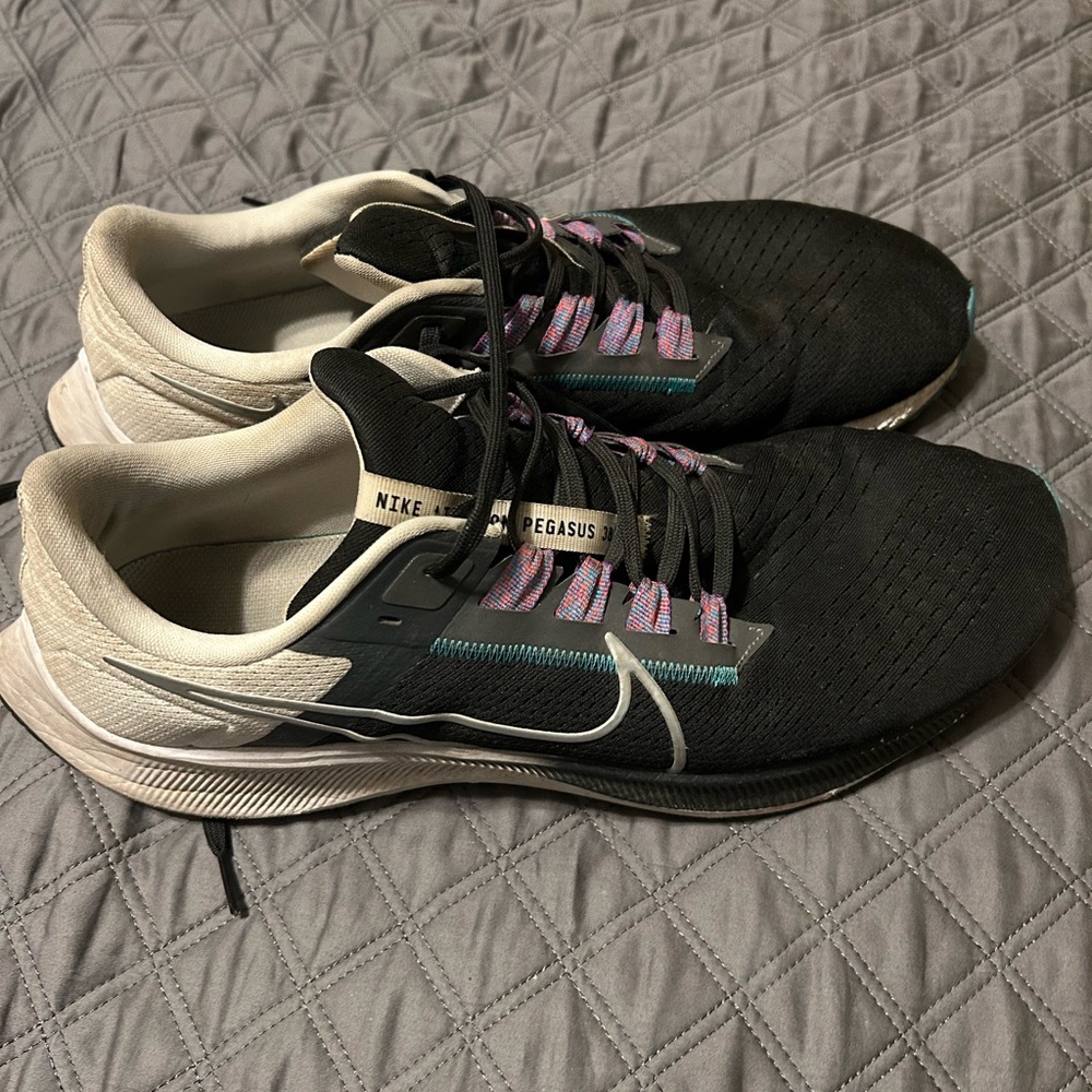 Nike Pegasus Shoes